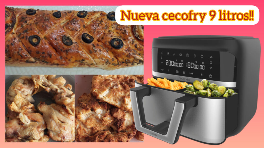 CECOFRY DUAL 9000