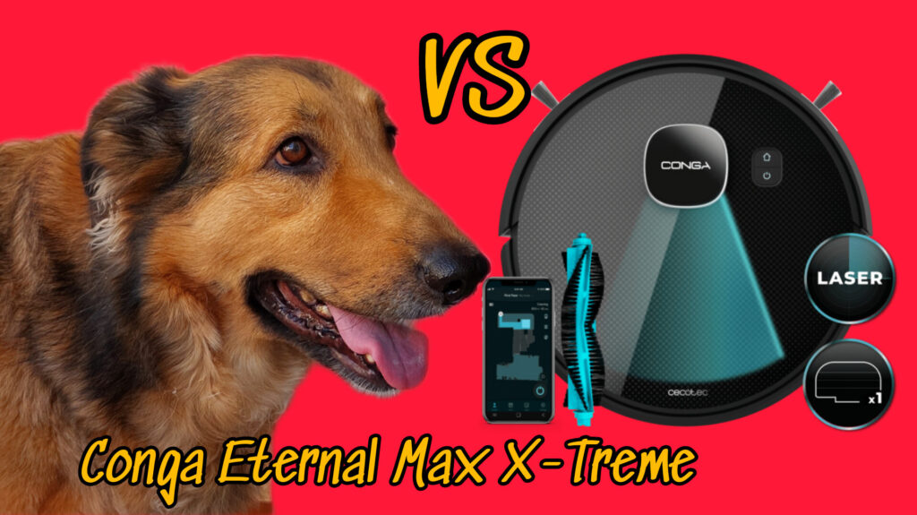 ✅️CONGA ETERNAL MAX X-TREME/UNBOXING